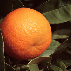Naranja Dulce BIO - Aceite Esencial 100% Puro (N° 105)